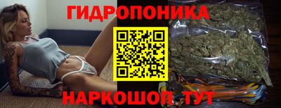 ECSTASY Обь