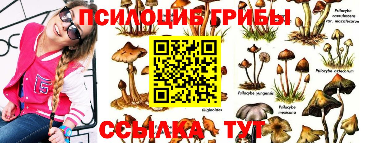Галлюциногенные грибы мухоморы  Вход с VPN  Реж 